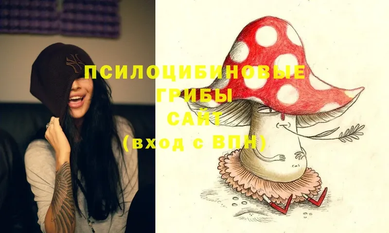 купить   Тюмень  Галлюциногенные грибы Magic Shrooms 